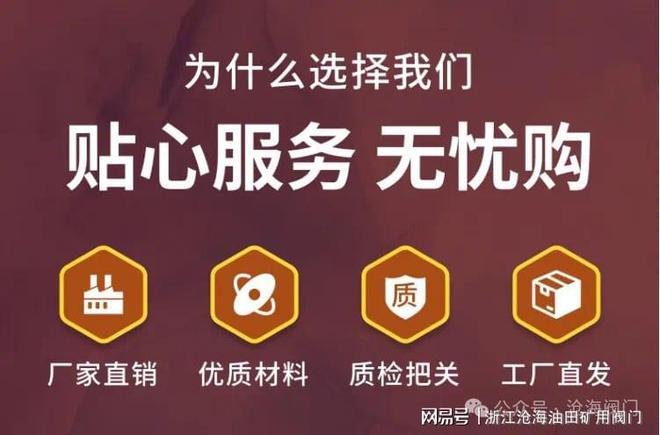 高压法兰平板闸阀Z43Y-沧海阀门泛亚电竞(图4)