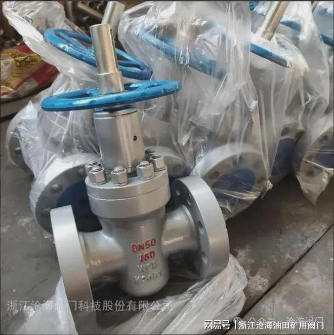 高压法兰平板闸阀Z43Y-沧海阀门泛亚电竞(图1)