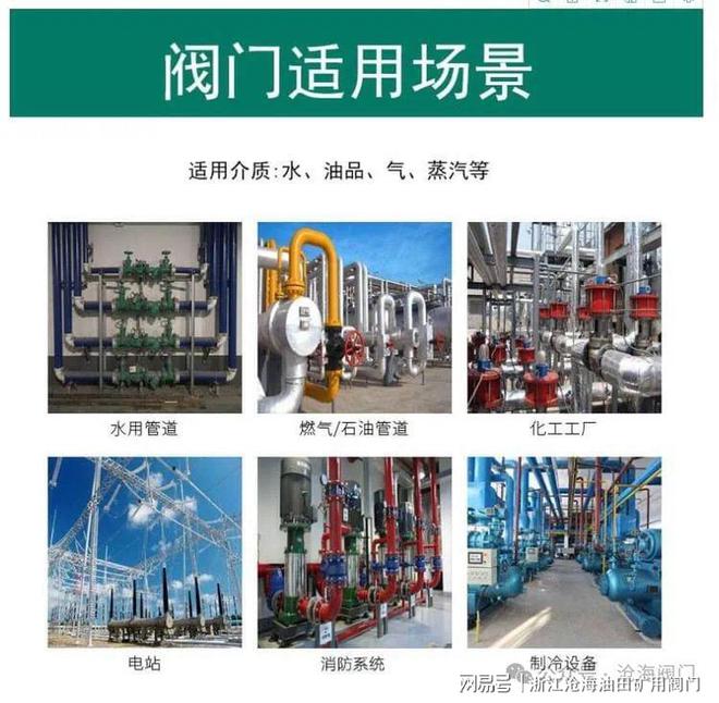 高压法兰平板闸阀Z43Y-沧海阀门泛亚电竞(图3)