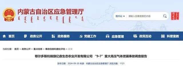 高压气体泄漏致10死22人被问责泛亚电竞(图2)
