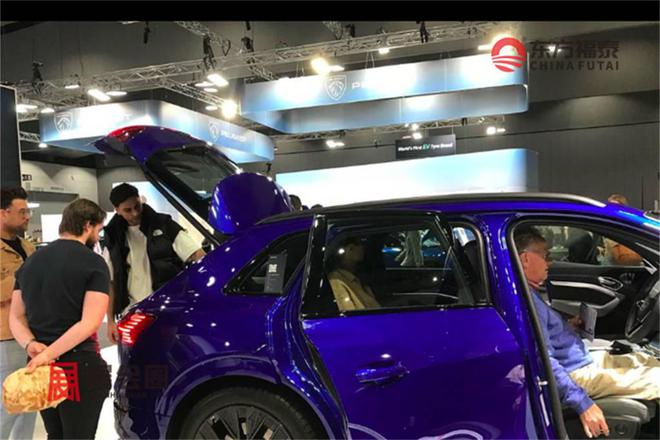 2025年澳大利亚新能源电动车及充电桩展IEVS 2025泛亚电竞(图6)